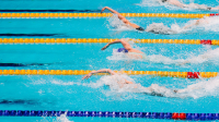 Состав сборной России по плаванию на чемпионат Европы 2026 ФЕДЕРАЦИЯ ПЛАВАНИЯ КАЛУЖСКОЙ ОБЛАСТИ